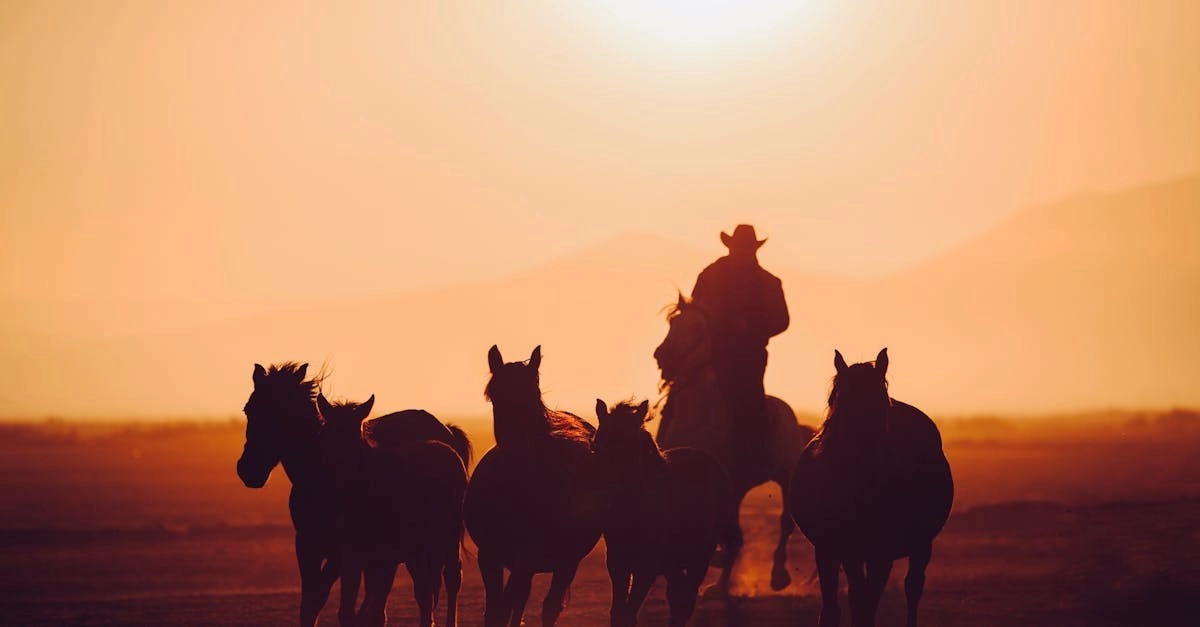 Слот игра Wild West Gold в атмосфере Дикого Запада